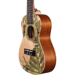 Каша HH2606 Художественная серия Концерт с листьями Cascha HH2606 Art Serie Leafy Konzert