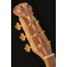 Adamas 1687GT-2 RRB Adamas 1687GT-2 RRB