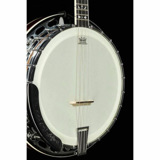 Банджо Gold Tone IT-250-F Irish Tenor Banjo w/C Gold Tone IT-250-F Irish Tenor Banjo w/C