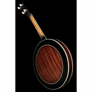 Банджо Gold Tone IT-250-F Irish Tenor Banjo w/C