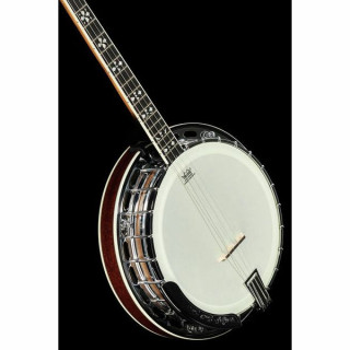 Банджо Gold Tone IT-250-F Irish Tenor Banjo w/C