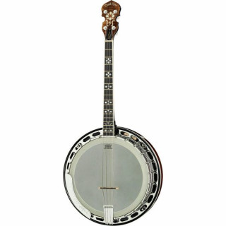 Банджо Gold Tone IT-250-F Irish Tenor Banjo w/C