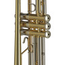 Gewa Bb-Тромбон TR372 RL Vision Gewa Bb-Trumpet TR372 RL Vision