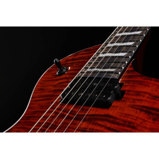 ESP LTD EC-1001FM Таiger Eye ESP LTD EC-1001FM Tiger Eye