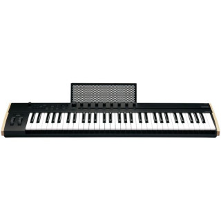 Ключевой момент Korg 61 Korg Keystage 61