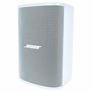 Bose Professional DesignMax DM3SE white Bose Professional DesignMax DM3SE white