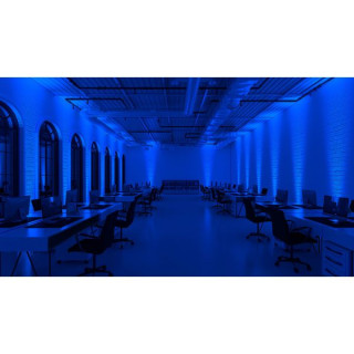 Ape Labs ApeLight maxi V2 (C) Single G Ape Labs ApeLight maxi V2 (C) Single G