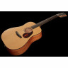 Акустическая гитара Furch Blue D-CM/12 L.R.Baggs Furch Blue D-CM/12 L.R.Baggs
