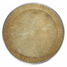 Remo 11" Symmetry Fiberskyn D2 Remo 11" Symmetry Fiberskyn D2