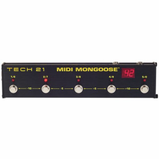 Tech 21 МИДИ Мангуст Tech 21 MIDI Mongoose