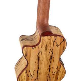 Cordoba 24T-CE Тенор еловой Укуэле Cordoba 24T-CE Tenor Spruce Ukuele