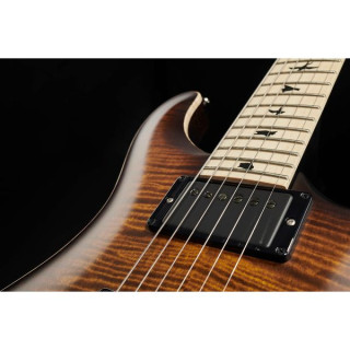 PRS CE 24 Дасти Уоринг Флойд B8 PRS CE 24 Dustie Waring Floyd B8