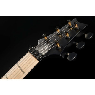 PRS CE 24 Дасти Уоринг Флойд B8 PRS CE 24 Dustie Waring Floyd B8