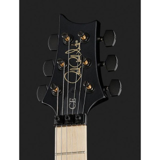 PRS CE 24 Дасти Уоринг Флойд B8 PRS CE 24 Dustie Waring Floyd B8