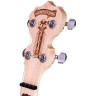 Специальное банджо в стиле деко Диринга Гудтайма Deering Goodtime Special Deco Banjo
