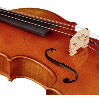 Карл Хефнер H11E-VA Альт 16" Karl Höfner H11E-VA Viola 16"