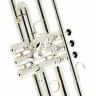 Schagerl Las Vegas S Bb-Труба Schagerl Las Vegas S Bb-Trumpet