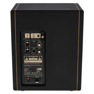 Искровая КАБИНА с положительной решеткой Positive Grid Spark CAB