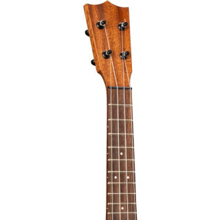 Концерт к столетию гитар Мартина в Уке Martin Guitars Centennial Concert Uke