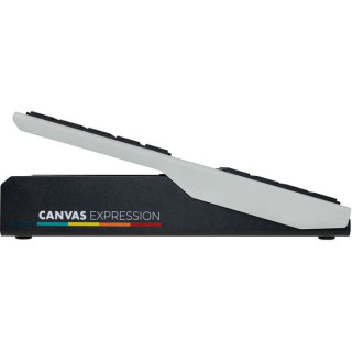 Педаль экспрессии Walrus Audio Canvas Walrus Audio Canvas Expression Pedal