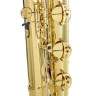 Tavmusic.ru TBB-150 Баритоновый саксофон Набор №654225 Thomann TBB-150 Bass Saxophone Set Bundle №654225