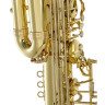 Tavmusic.ru TBB-150 Баритоновый саксофон Набор №654225 Thomann TBB-150 Bass Saxophone Set Bundle №654225