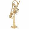 Труба Schagerl Spyder Bb-Trumpet UL Schagerl Spyder Bb-Trumpet UL