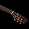 Концерт Godin CW Classic Godin Concert CW Classic