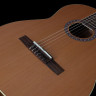 Концерт Godin CW Classic Godin Concert CW Classic