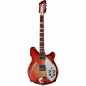 Rickenbacker 360 FG Rickenbacker 360 FG