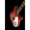 Rickenbacker 360 FG Rickenbacker 360 FG