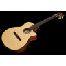 Ibanez AEG50N-NT нейлон Ibanez AEG50N-NT Nylon