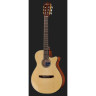 Ibanez AEG50N-NT нейлон Ibanez AEG50N-NT Nylon