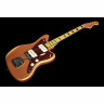Фендер Трой против Левена Джазмастера из Миннесоты Fender Troy V Leeuwen Jazzmaster MN