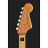 Фендер Трой против Левена Джазмастера из Миннесоты Fender Troy V Leeuwen Jazzmaster MN
