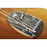 Фендер Трой против Левена Джазмастера из Миннесоты Fender Troy V Leeuwen Jazzmaster MN