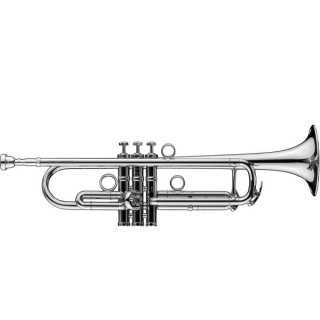Шагерль Джеймс Моррисон Trp. JM2-S Schagerl James Morrison Trp. JM2-S