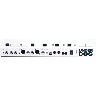 Недооцененный Чарли Underdog Chuck
