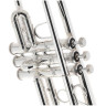 Бак C190SL229F С-труба Bach C190SL229F C-Trumpet