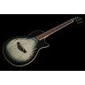 Harley Benton Nashville-Steel Набор №549468 Harley Benton Nashville-Steel Bundle №549468