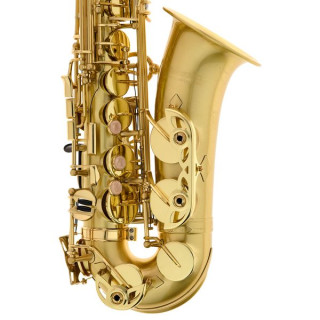 Tavmusic.ru TAS-180 Matt Alto Sax Thomann TAS-180 Matt Alto Sax