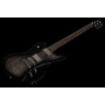 Электрогитара Framus D-Series Idolmaker NBTHP Framus D-Series Idolmaker NBTHP