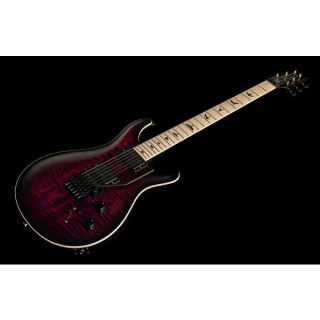 PRS CE 24 Дасти Уоринг Флойд ВБ PRS CE 24 Dustie Waring Floyd WB