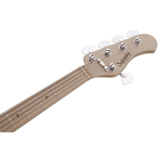 Садовский метроэкспресс 21 Гибридный ВАГОН PJ 5 RM Sadowsky MetroExp 21 Hyb PJ 5 RM CAR