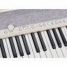 Casio CT-S1WE Набор №517405 Casio CT-S1WE Bundle №517405