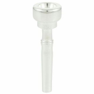 Изготовленная на заказ латунная труба Austin Standard TA1 Austin Custom Brass Trumpet Standard TA1