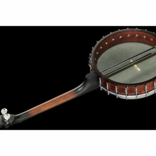 Банджо Gold Tone Irish Tenor Banjo 12"