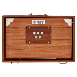 Томанн Натарадж, профессор. Шрути, доктор медицинских наук. Thomann Nataraj Prof. Shruti C-C Med.