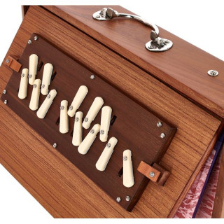 Томанн Натарадж, профессор. Шрути, доктор медицинских наук. Thomann Nataraj Prof. Shruti C-C Med.