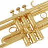 Труба  Schilke S42 GP Bb-Trumpet Schilke S42 GP Bb-Trumpet